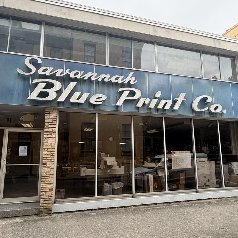 Savannah Blue Print
